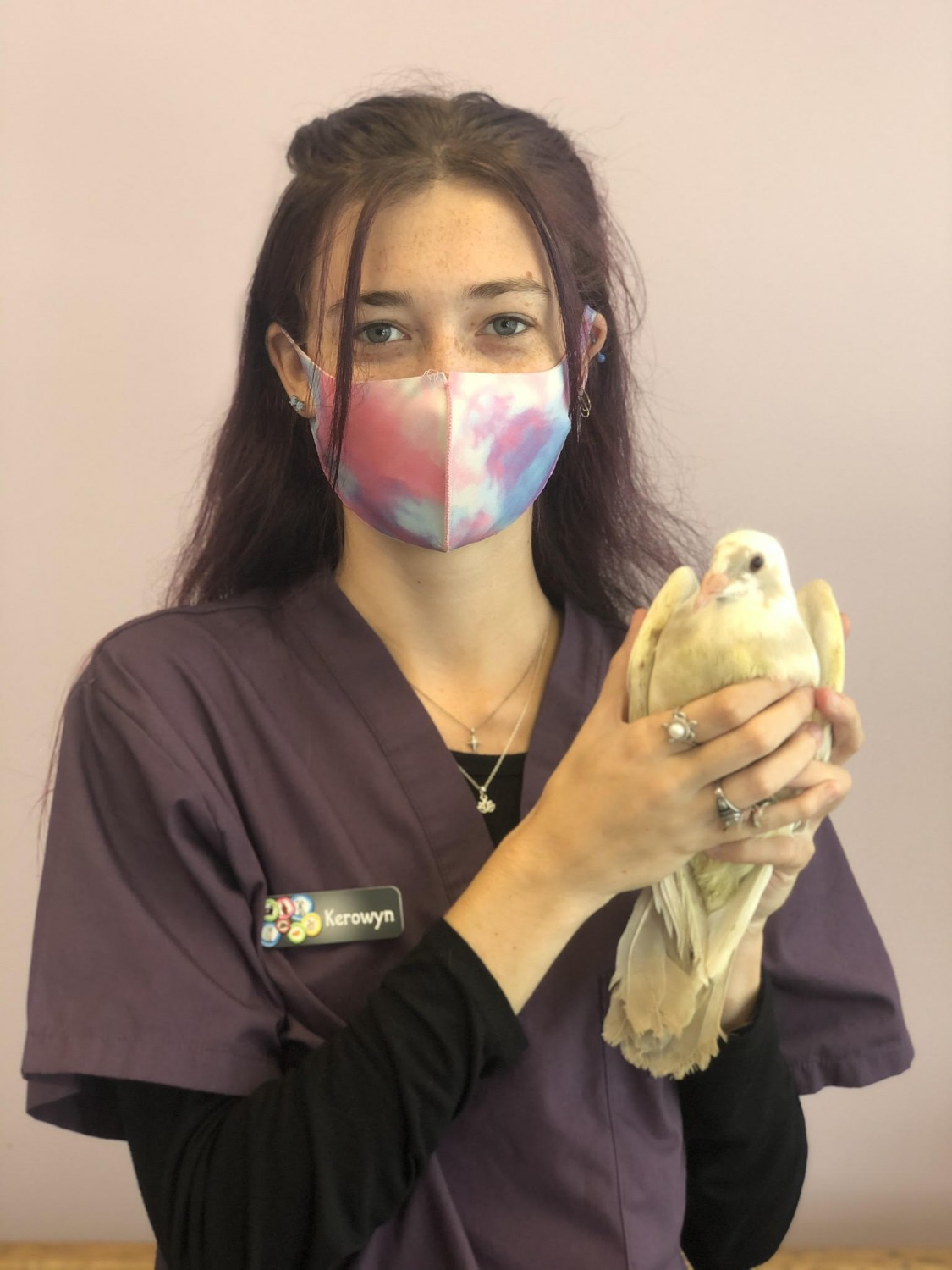 Holmes Family Veterinary Clinic, Walpole, MA 02081 Meet Our Team